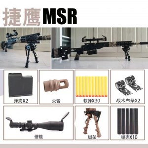 msr 1221 (6)